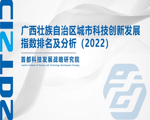 女操男视频【成果发布】广西壮族自治区城市科技创新发展指数排名及分析（2022）